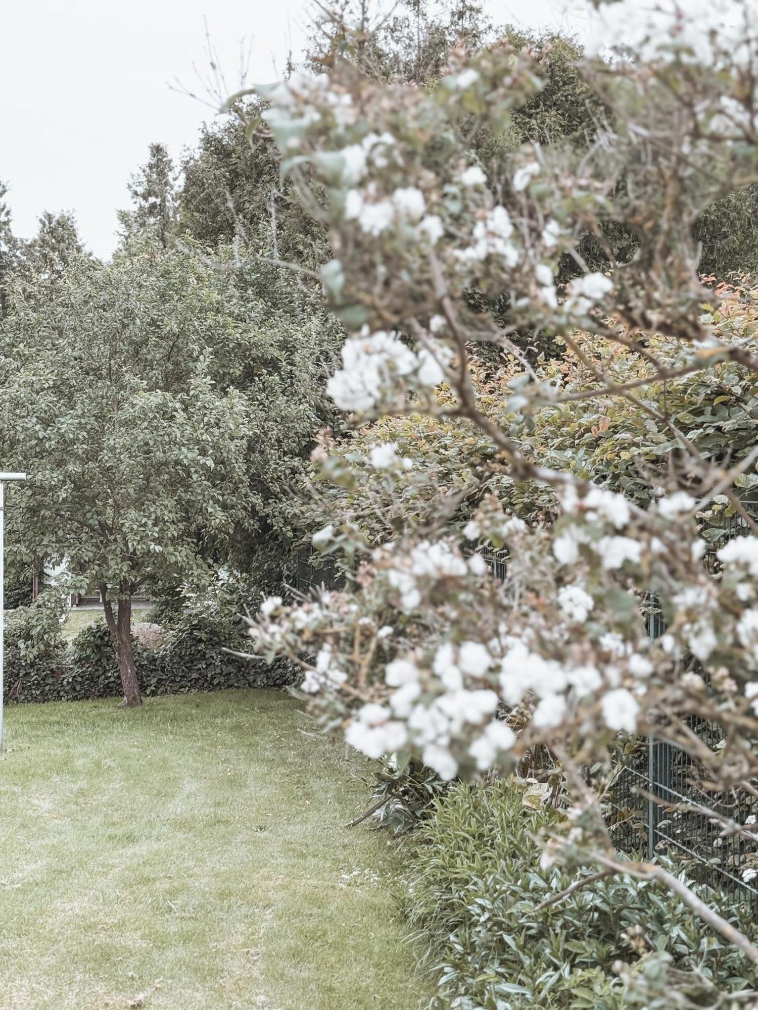 Bohemian Suite - Detmold Exterior photo